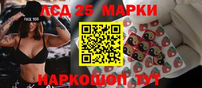 тгк Новодвинск
