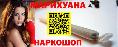 тгк Новодвинск