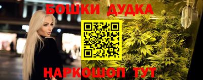 тгк Новодвинск