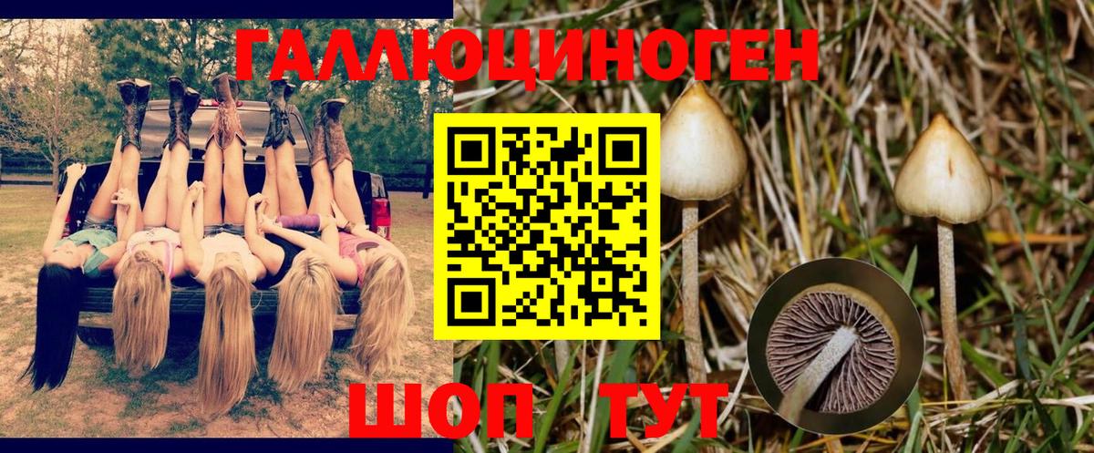 Галлюциногенные грибы мухоморы Туапсе