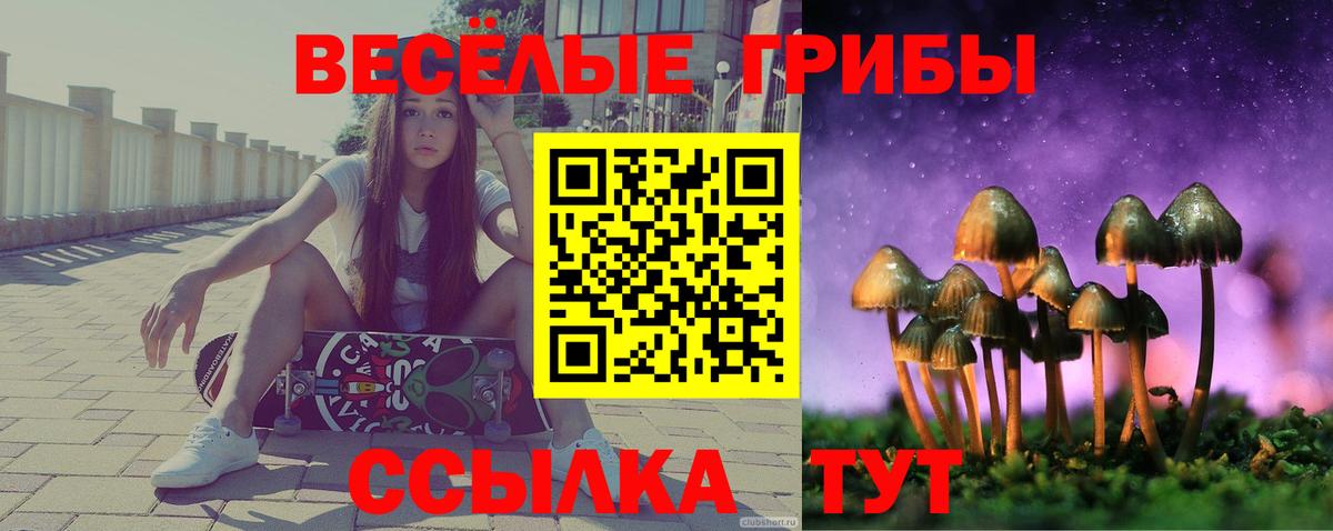 цены   Галлюциногенные грибы GOLDEN TEACHER  Вход с VPN  Галлюциногенные грибы MAGIC MUSHROOMS  Туапсе 